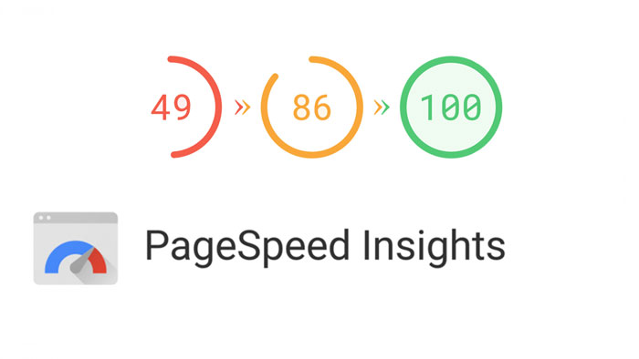 ابزار google page speed insightts