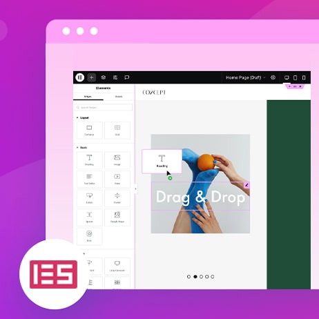 آشنایی کار با محیط المنتور
