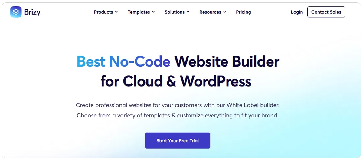 افزونه صفحه ساز Brizy