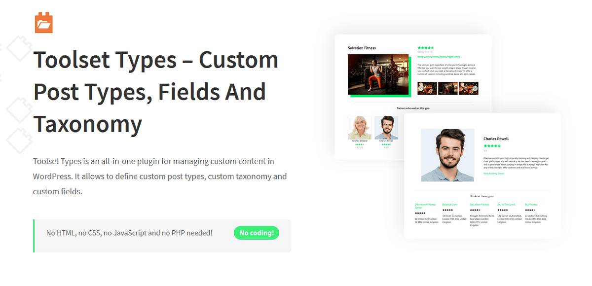 افزونه Toolset Types