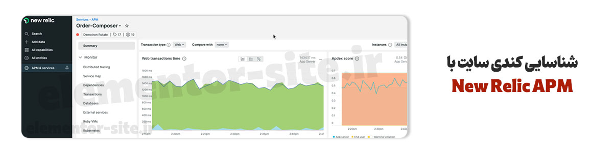 شناسایی با نرم افزار New Relic APM