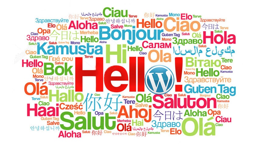 بهترین افزونه های چند زبانه کردن وردپرس