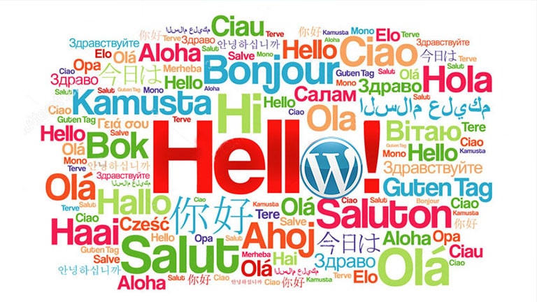 بهترین افزونه چند زبانه کردن وردپرس