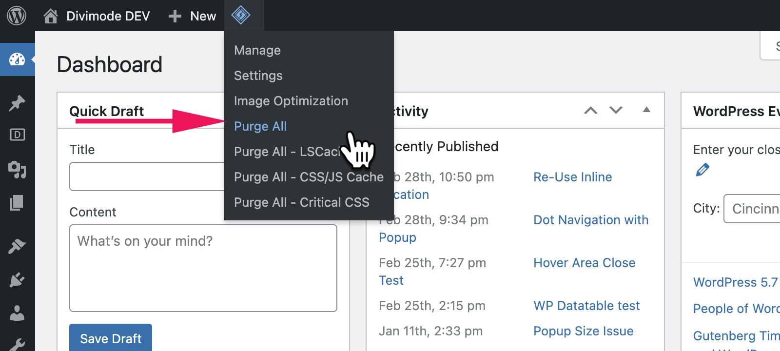 پاک کردن کش وردپرس با افزونه Litespeed cache