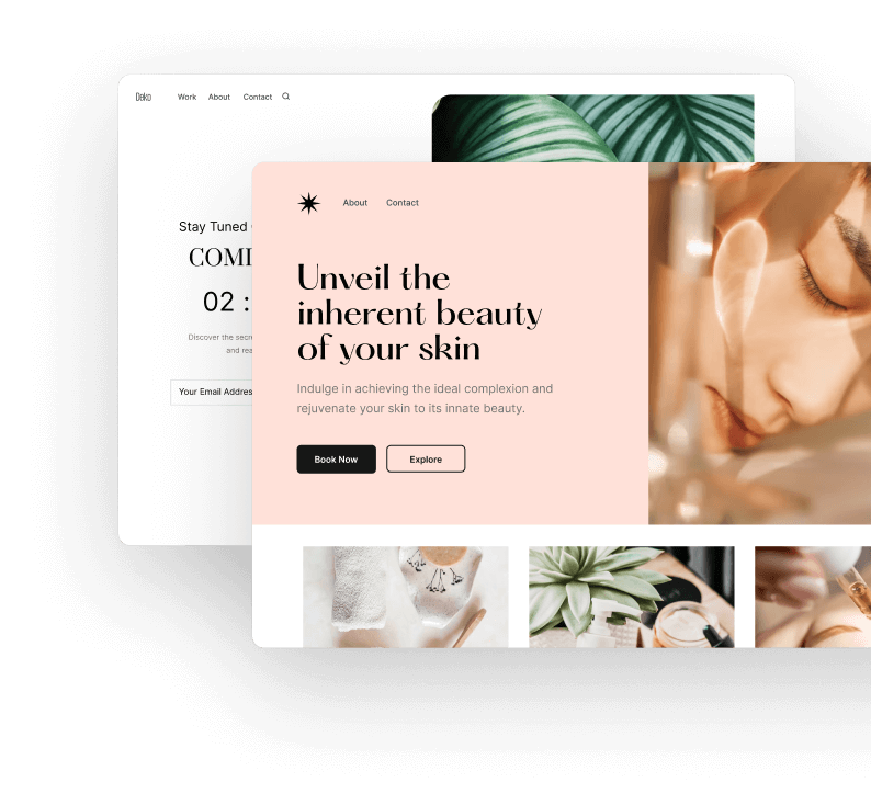 افزونه Seedprod