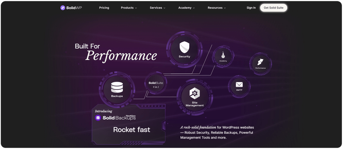 افزونه wpDataTables