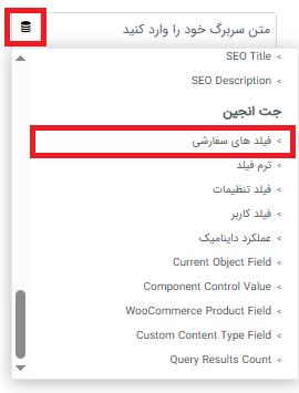 نحوه استفاده از فیلدهای سفارشی (Custom Fields) در ویجت‌های داینامیک المنتور