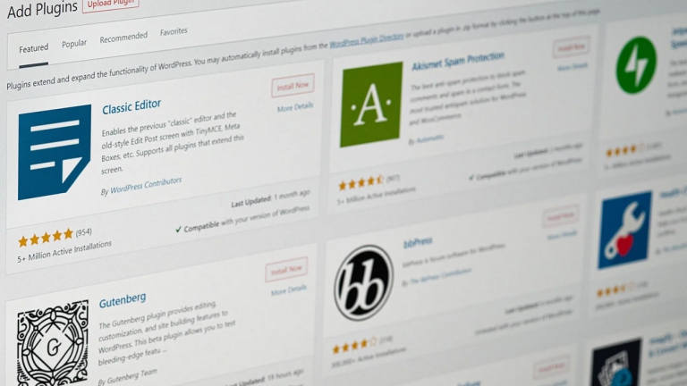 افزونه های ضروری وردپرس