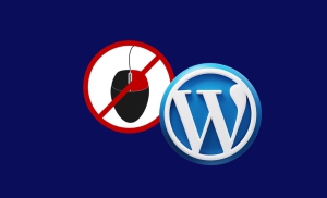 جلوگیری از کپی شدن مطالب در وردپرس